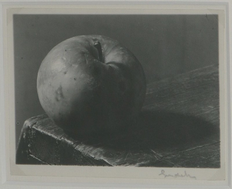 Josef Sudek – Jednoduché zátiší | Moravská galerie v Brně