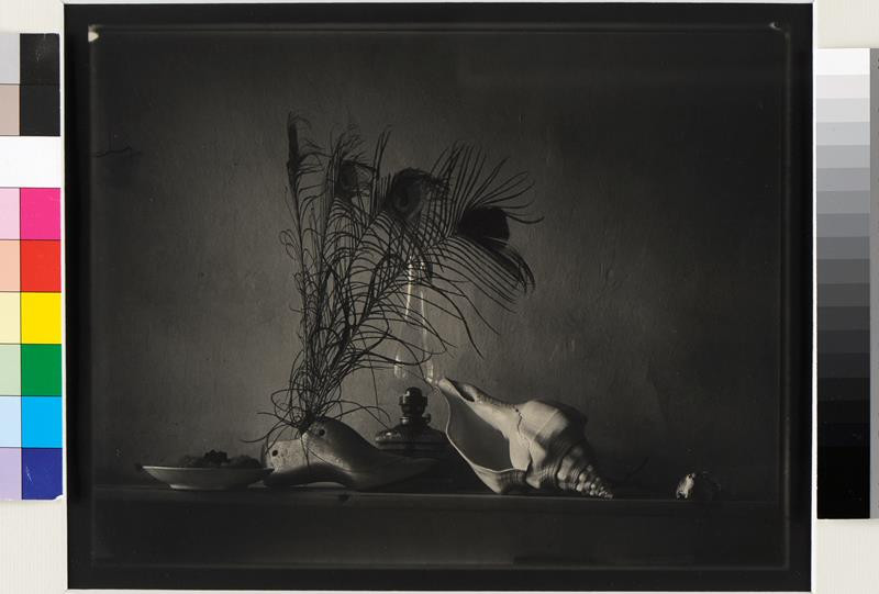 Josef Sudek – Zátiší podle Caravaggia | Moravská galerie v Brně