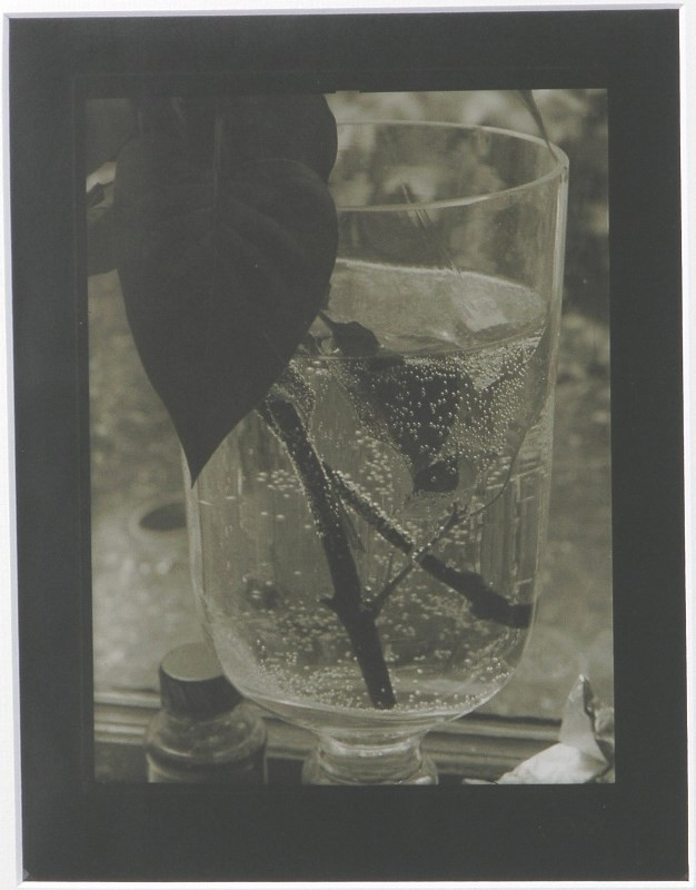 Josef Sudek – Zátiší na okně | Moravská galerie v Brně | sbírky online