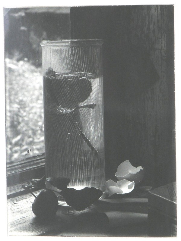 Josef Sudek – Jednoduché zátiší | Moravská galerie v Brně
