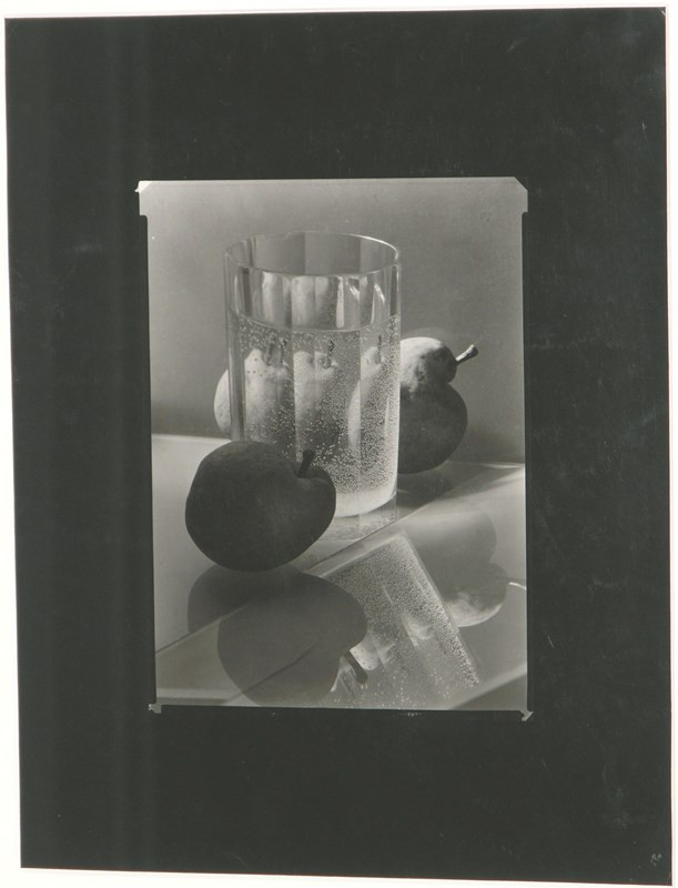 Josef Sudek ヨゼフ・スデク　Zátiší Sudek Josef (1896 - 1976) - Zátiší s vrbou - Grafika, kresba