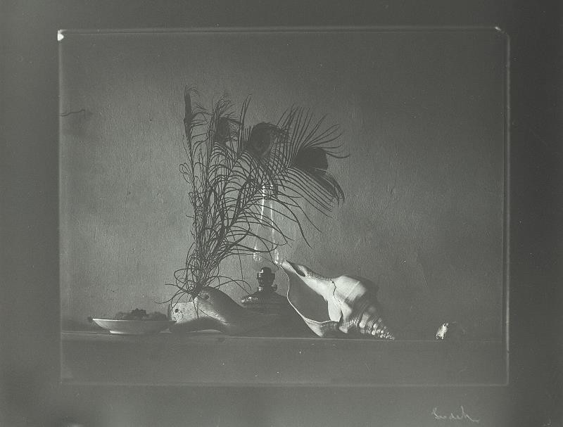 Josef Sudek – Zátiší podle Caravaggia | Moravská galerie v Brně